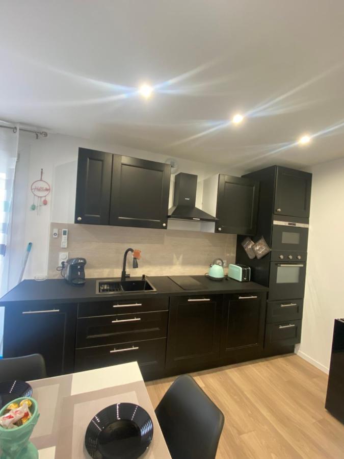 Petit Chateau Apartment Chasse-sur-Rhone